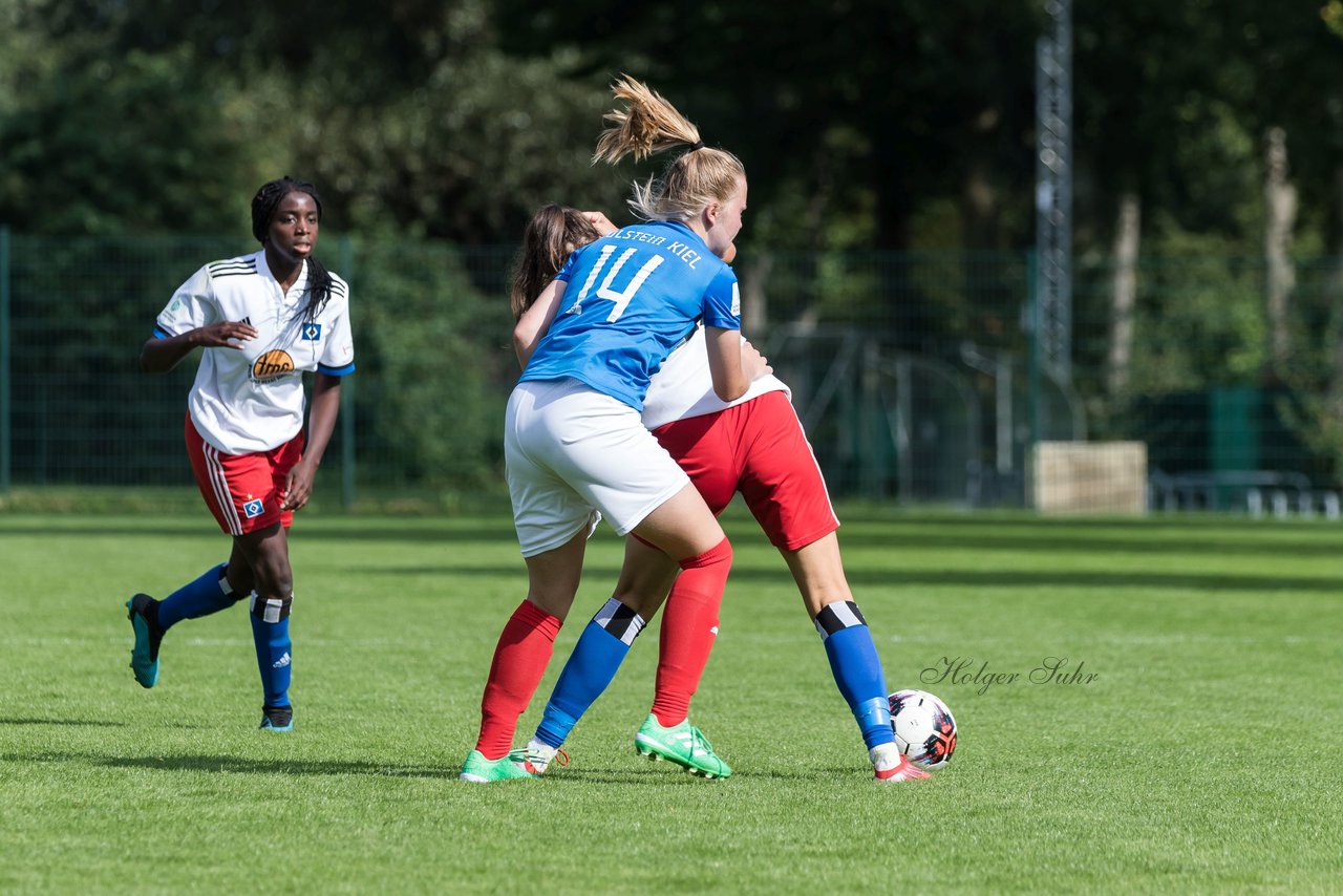 Bild 305 - wBJ Hamburger SV - Holstein Kiel : Ergebnis: 2:0